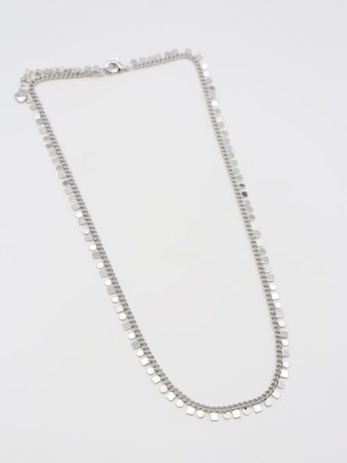 Silver renk kare ve yuvarlak pul pul kolye (45cm)